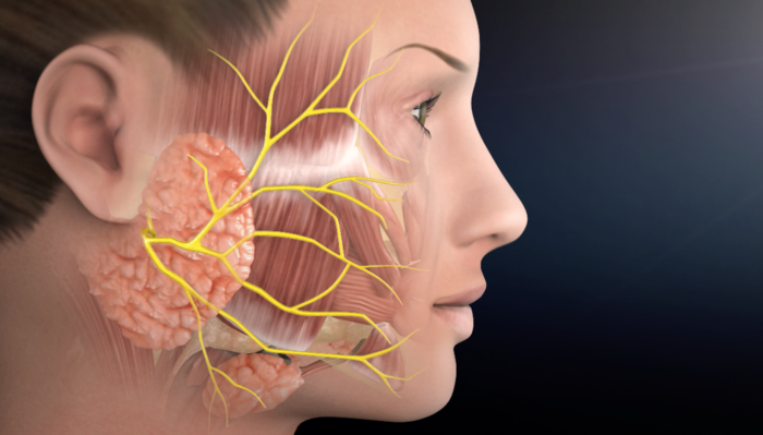 Partoid Gland Parotidectomy